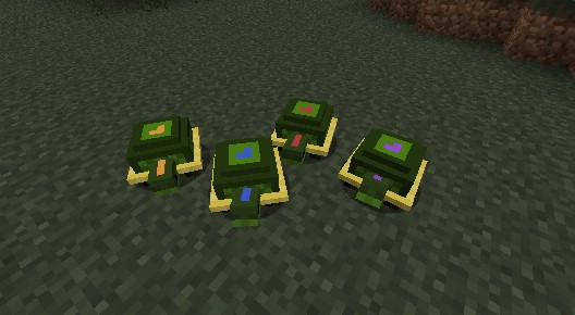Pet-Turtles-Mod-7