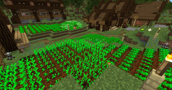 03-farming
