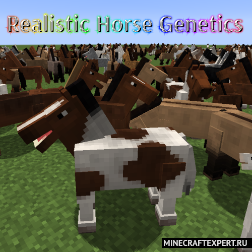 Realistic Horse Genetics [1.18.2] [1.17.1] [1.16.5] [1.12.2] (разнообразные лошади)