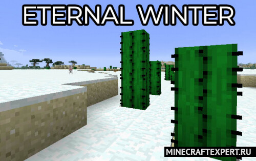 Eternal Winter [1.17.1] [1.16.5] [1.15.2] [1.12.2] (вечная зима)