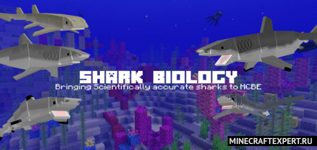 Shark Biology [1.16] [1.15] [1.14] (большие акулы)