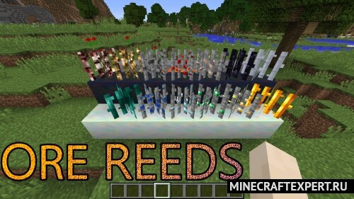 Ore Reeds [1.16.5] [1.15.2] [1.14.4] [1.12.2] (выращивание руды)