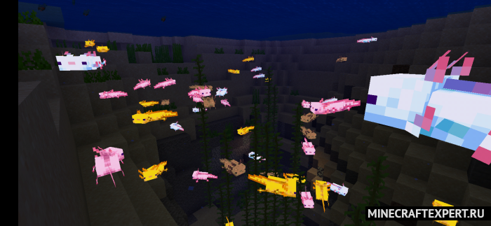 Glowing Axolotls [1.18] [1.17] [1.16] — светящиеся аксолотли
