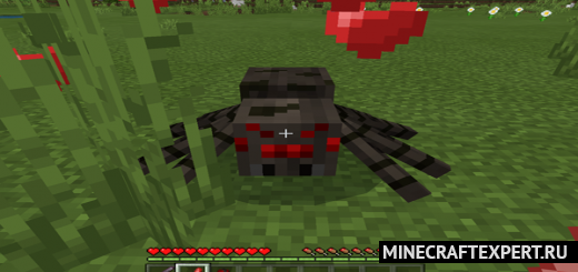 Tameable Spiders! [1.17] — приручение пауков