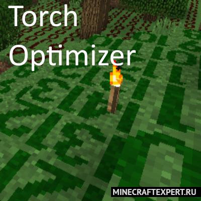 Torch Optimizer [1.17.1] [1.16.5] [1.14.4] [1.12.2] — уровень освещенности