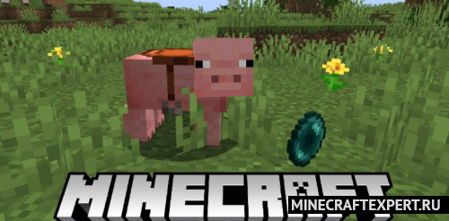 Mounted Pearl [1.17.1] [1.16.5] [1.15.2] [1.14.4] [1.12.2]