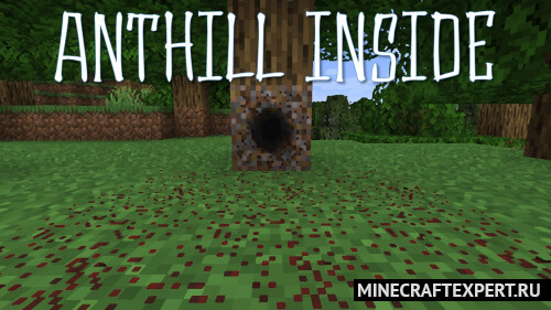 Anthill Inside [1.20.4] [1.19.2] [1.18.2] [1.16.5] — красные муравьи