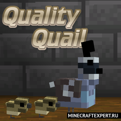 Quality Quails [1.16.5] — перепелки