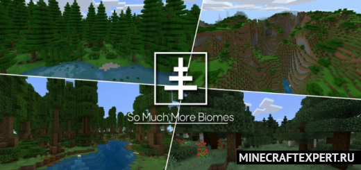 So Much More Biomes [1.17] [1.16] — 30 биомов