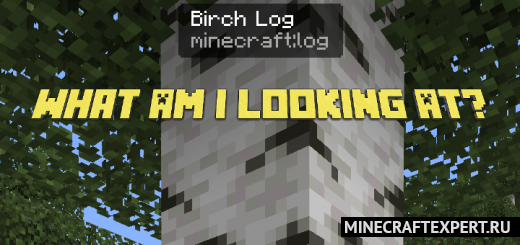 What Am I Looking At [1.19] [1.18] — простые подсказки