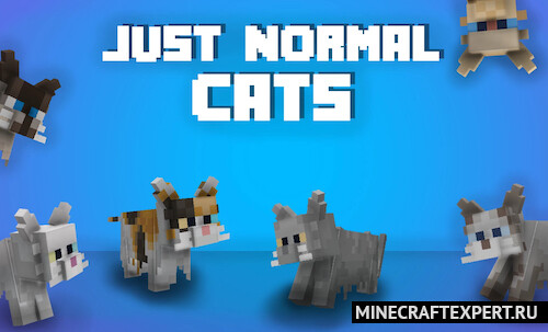 Just Normal Cats [1.19.3] (16x) — нормальные кошки