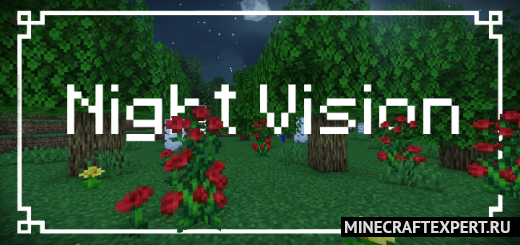 Night Vision [1.19] — бесконечное ночное зрение