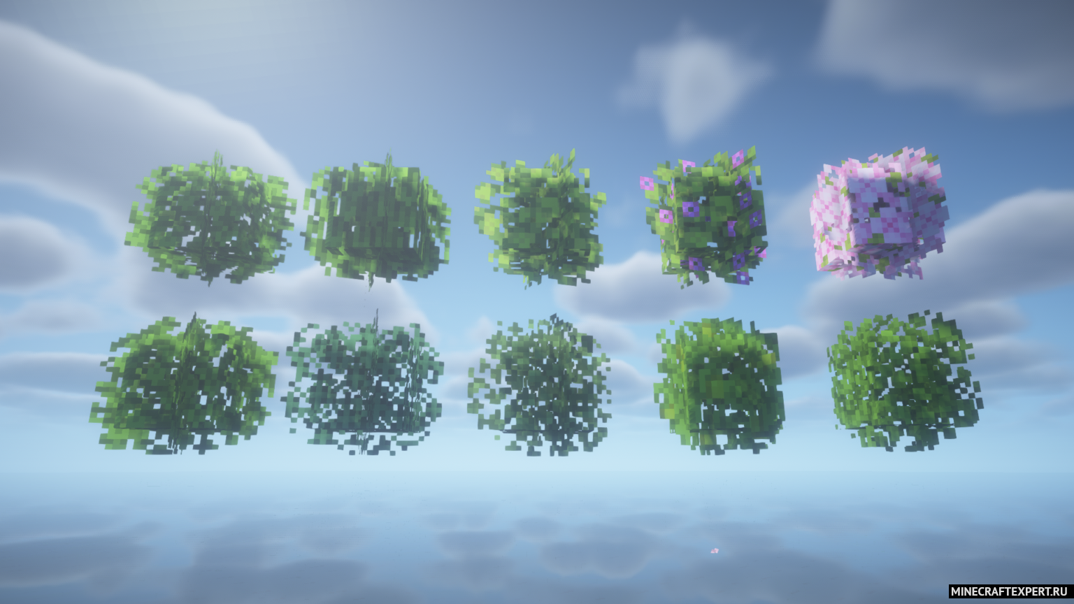 Lushfoliage 1 20 2 1 19 4 1 18 2 1 16 5 