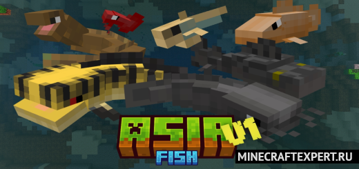 Asia fish [1.20] [1.19] — азиатская рыба