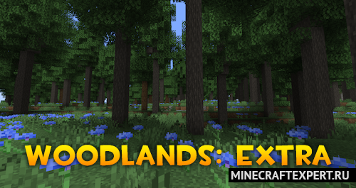 Woodlands: Extra [1.20.1] — 42 биома в ванильном стиле